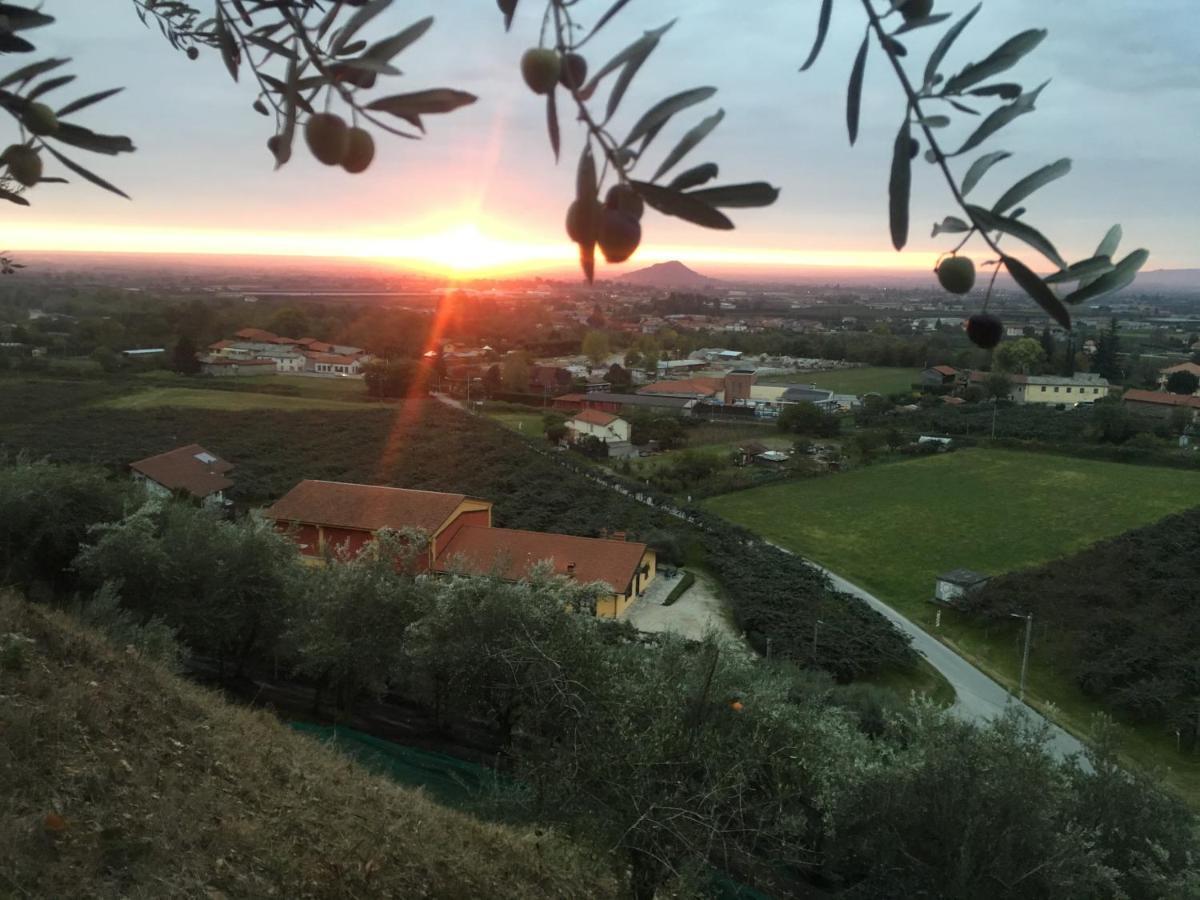 Bed and Breakfast Agrialpi By Salfrutta Bricherasio Zewnętrze zdjęcie