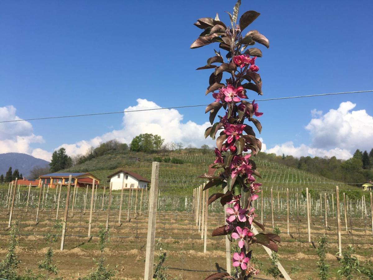 Bed and Breakfast Agrialpi By Salfrutta Bricherasio Zewnętrze zdjęcie