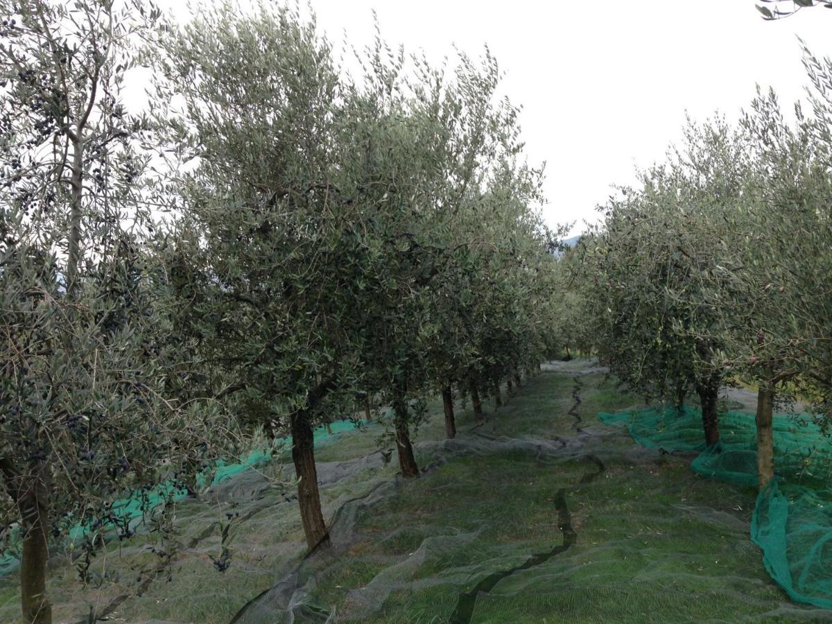 Bed and Breakfast Agrialpi By Salfrutta Bricherasio Zewnętrze zdjęcie