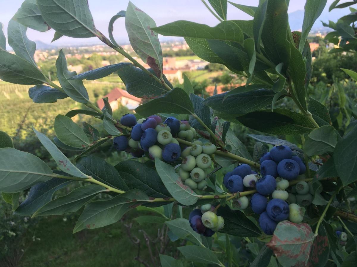 Bed and Breakfast Agrialpi By Salfrutta Bricherasio Zewnętrze zdjęcie