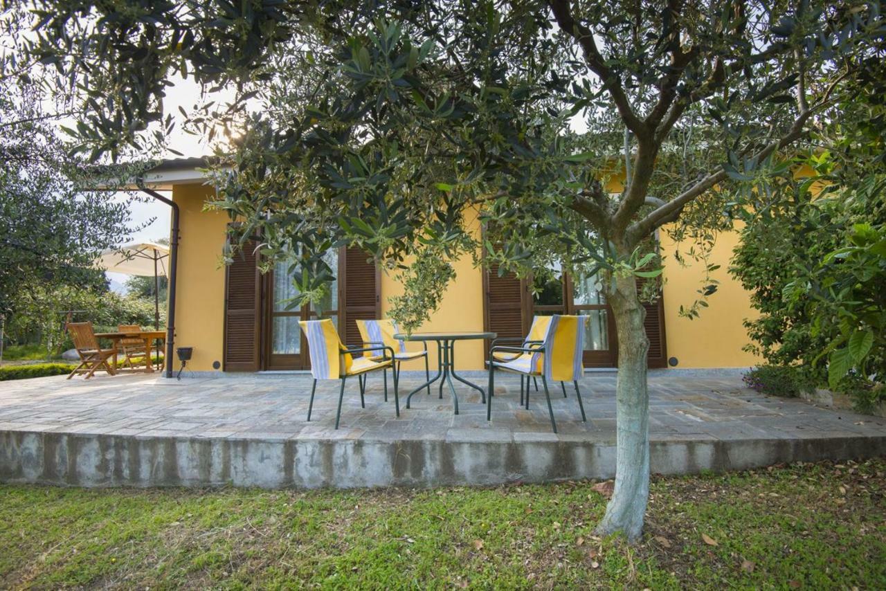 Bed and Breakfast Agrialpi By Salfrutta Bricherasio Zewnętrze zdjęcie